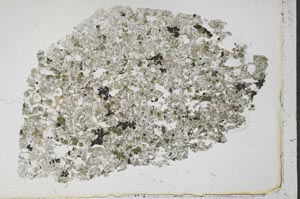 Plane Polarized, S50491/B