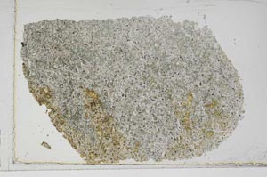 Plane Polarized, S50494