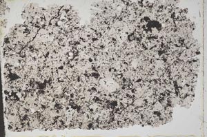 Plane Polarized, S50534