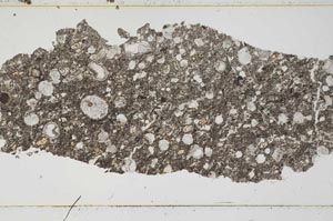 Plane Polarized, S50542