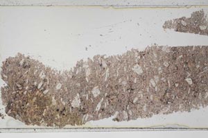 Plane Polarized, S50560