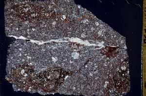 Cross Polarized, S50565