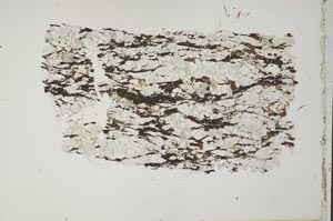 Plane Polarized, S50583
