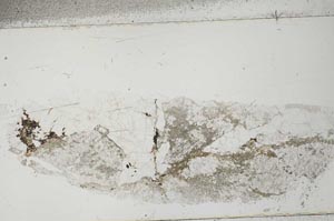 Plane Polarized, S50612