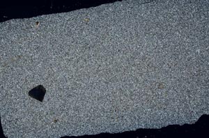 Cross Polarized, S50647