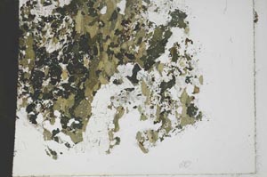 Plane Polarized, S50656