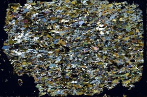 Cross Polarized, S50657
