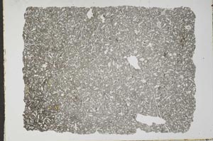 Plane Polarized, S50666