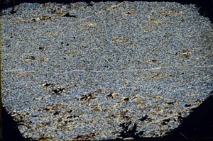 Cross Polarized, S50677