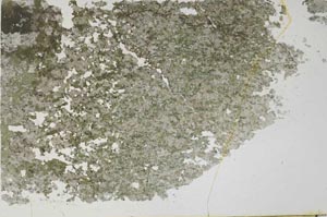Plane Polarized, S50682