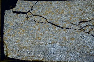 Cross Polarized, S50688