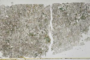 Plane Polarized, S50694