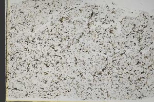 Plane Polarized, S50722