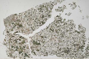 Plane Polarized, S50724