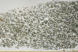Plane Polarized, S50744