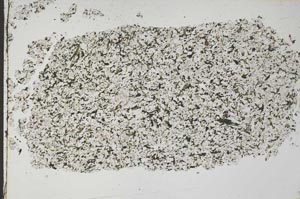 Plane Polarized, S50746