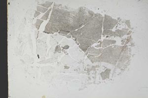 Plane Polarized, S50780