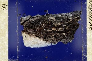 Cross Polarized, S50793