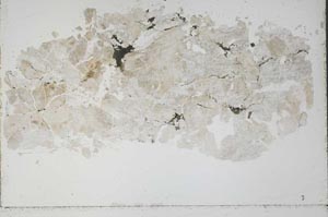 Plane Polarized, S50797
