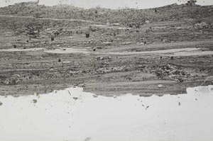 Plane Polarized, S50822
