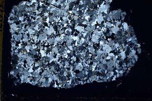 Cross Polarized, S50824