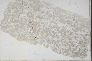 Plane Polarized, S50826