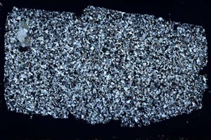 Cross Polarized, S50836