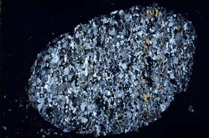 Cross Polarized, S50837