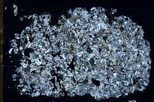 Cross Polarized, S50844