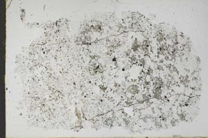 Plane Polarized, S50844