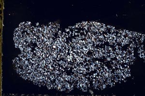 Cross Polarized, S50863