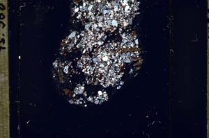 Cross Polarized, S50863/A