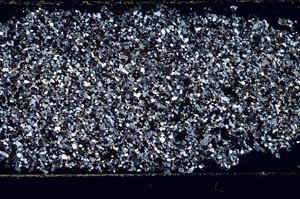 Cross Polarized, S50864