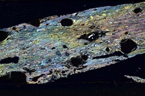 Cross Polarized, S50890