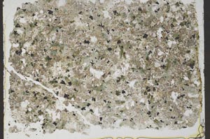 Plane Polarized, S50908