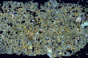 Cross Polarized, S50909