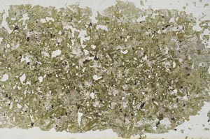 Plane Polarized, S50909