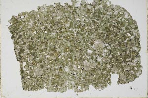 Plane Polarized, S50910