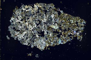 Cross Polarized, S50912