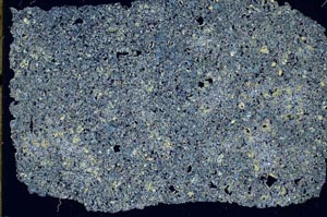 Cross Polarized, S50922