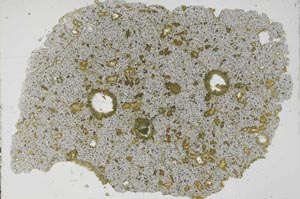 Plane Polarized, S50929