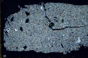 Cross Polarized, S50979