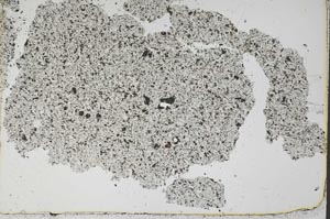 Plane Polarized, S50982
