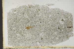 Plane Polarized, S50984/A
