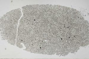 Plane Polarized, S50986