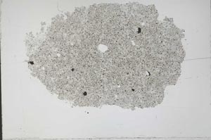 Plane Polarized, S50986/A