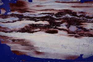 Cross Polarized, S50998