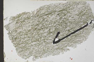 Plane Polarized, S51037