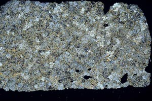 Cross Polarized, S51039