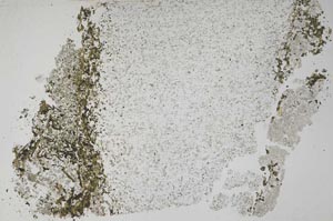 Plane Polarized, S51048